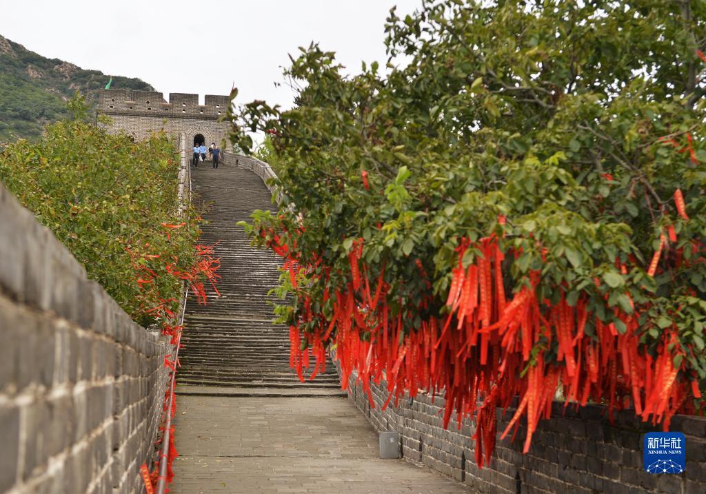 利记现场娱乐